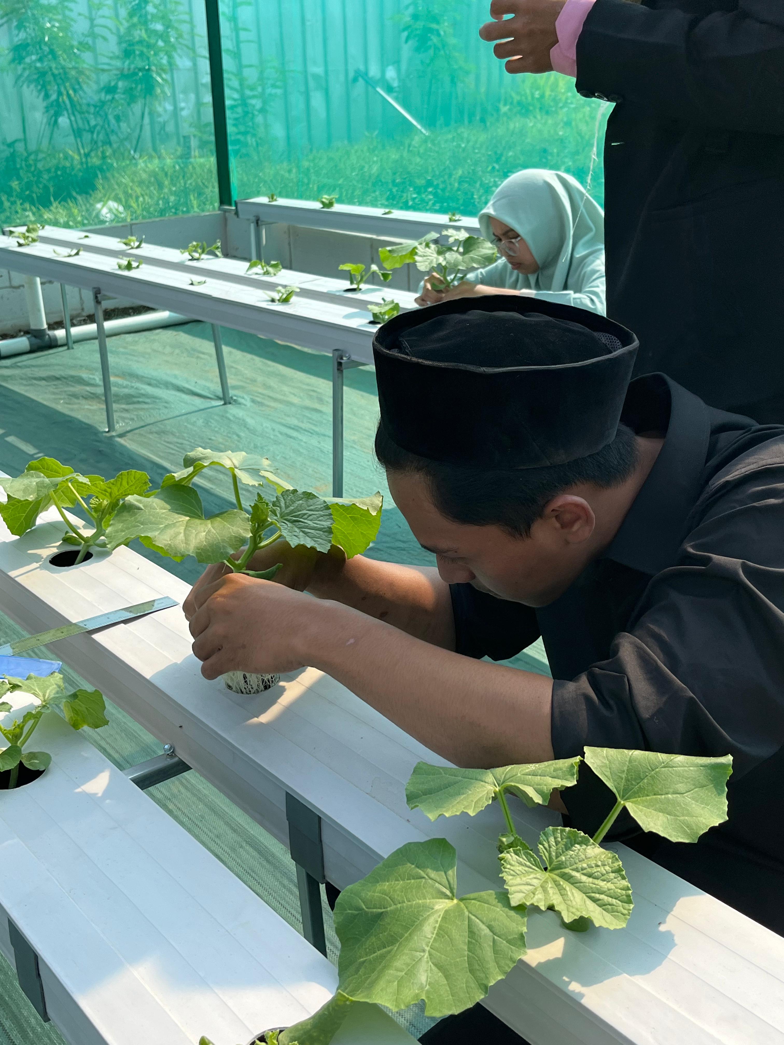 Manajemen Agribisnis